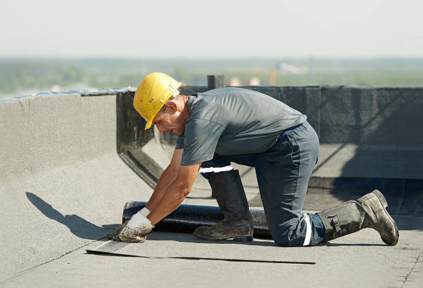Best Insulation Installation Services in Fairview, MT