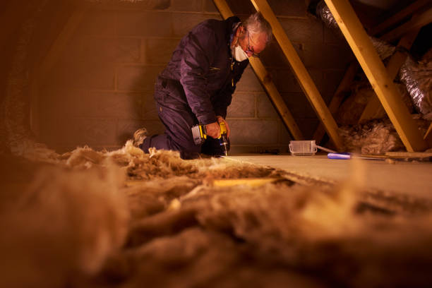 Best Insulation Maintenance and Repair in Fairview, MT